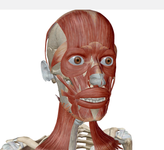Seller avatar