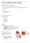 Les 4 cardiovasculair systeem 