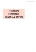 Histologie Practicum Infectie & Afweer 3e bach &lpar;Jo Van Dorpe&rpar;