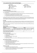 CCEA GCSE History International Relations 1945-2003 Summary Revision Notes