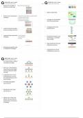 BADM4801 Test 3 Charts &vert; Governance&comma; Accountability&comma; Ethics & Service Delivery &vert; Score 100&percnt; &sol; New Version &sol; 2025 Update