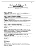 Klinische Praktijk van de Orthopedagoog Uitwerking Artikelen&sol;Literatuur - Samenvatting