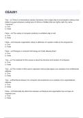 CEA201 - Google Docs questions and answers