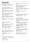 AQA Paper 1 Biological molecules - 3&period;1&period;4&period;2 Enzymes 