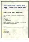 BIOL251&colon; Human Anatomy & Physiology I w&sol;Lab Module 6 &ndash; Nervous System&comma; Nervous Tissue & CNS