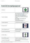 Flashcards spieren en innervatie&semi; anatomie&colon; bewegingsapparaat 