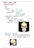 Module 1&colon; osteologie cranium 