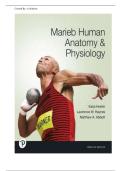TEST BANK FOR Marieb Human Anatomy & Physiology&comma; 12th edition  by Katja Hoehn ISBN&colon; 978-0138242732 COMPLETE GUIDE WITH RATIONALES 100&percnt; VERIFIED A&plus; GRADE ASSURED&excl;&excl;&excl;&excl;&excl;NEW LATEST UPDATE&excl;&excl;&excl;&excl;&excl;