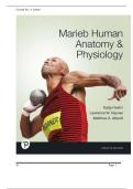 TEST BANK FOR Marieb Human Anatomy & Physiology&comma; 12th edition Published by Katja Hoehn &comma;Lawrence W&period; Haynes &comma;Matthew A&period; Abbott ISBN&colon;9780138244415 COMPLETE GUIDE WITH RATIONALES 100&percnt; VERIFIED A&plus; GRADE ASSURED&excl;&excl;&excl;&excl;&excl;NEW LATEST UPDATE&excl;&excl;&excl;&excl;&excl;