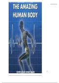 Essentials of Human Anatomy & Physiology Study Guide &vert; Introduction to the Body
