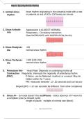 Basic Dysrhythmia-Relias