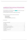Samenvatting sociale pedagogiek 