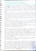 Geschiedenis samenvatting HC 1 t&sol;m 3