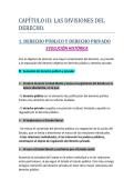 Cap&iacute;tulo III&colon; Las divisiones del derecho 