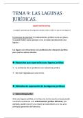 Tema 9&colon; Las lagunas jur&iacute;dicas&period;