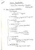 Class notes of biology human reproduction class 12 