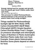 Class 7 Science &ndash; Nutrition in Plants &vert; Easy Revision Notes &lpar;PDF&rpar;