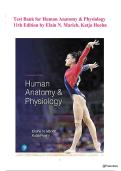 Test Bank - Human Anatomy & Physiology &lpar;11th Edition&rpar; &ndash; Elaine N&period; Marieb & Katja Hoehn &vert; All Chapters&period;