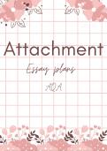 Attachment essay plans A-Level psychology 