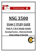 &lpar;Exam 2&rpar; &ndash; NSG 3500 Exam &plus; Study Guide &vert; Maternal Health  &vert; Galen Nursing