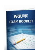 WGU C949 &lpar;Data Structures and Algorithms&rpar; &ndash; EXAM STUDY GUIDE 2026&sol;2027 COMPLETE QUESTIONS WITH VERIFIED CORRECT ANSWERS &vert;&vert; 100&percnt; GUARANTEED PASS <NEWEST VERSION>