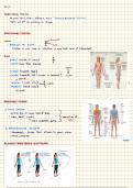 Foundations of Anatomy and Human Physiology&colon; Key Terms&comma; Body Planes&comma; and Cavities
