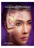 Test Bank For Exploring Anatomy & Physiology in the Laboratory 3rd Edition by Erin C&period; Amerman 9781617316203 Chapter 1-29 Complete Guide 2026