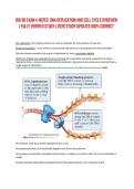 BIO 181 EXAM 4 NOTES&colon; DNA REPLICATION AND CELL CYCLE OVERVIEW &vert; FULLY VERIFIED STUDY &vert; 2026 STUDY UPDATES 100&percnt; CORRECT