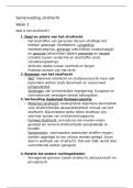 Samenvatting beginselen strafrecht VU