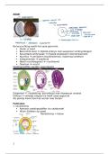 Samenvatting plantkunde &lpar;volledig&rpar;