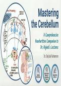 Dr&period; Najeeb &vert; Cerebellum &vert; Handwritten Notes & Illustrations &vert; v2&period;0