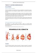 Apuntes del aparato Cardiocirculatorio y su anatom&iacute;a