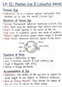 Introduction to the Human Eye  Anatomy of the Human Eye  External Structures of the Eye  Internal Structures of the Eye  Coats &lpar;Layers&rpar; of the Eyeball  Accessory Organs of the Eye  Optical Media of the Eye  Muscles of the Eye  Blood Supply of the Eye  Ner