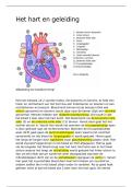 Hart en geleiding AFP samenvatting
