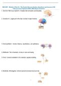 BIO 2457 - Module 8 &lpar;Part 2&rpar; - The Central Nervous System Questions and Answers &lpar;100  &percnt;Score&rpar; Latest Updated 2026 &vert; With Expert Solutions 