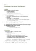 Genetica en Genomica &ndash; ZSO 11 &ndash; UHasselt &ndash; Academiejaar 2023-2024 &ndash; Samenvatting over genmutaties&comma; DNA-herstelmechanismen en transposons
