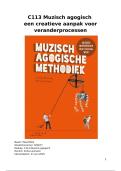 C113 Muzisch agogisch een creatieve aanpak voor veranderprocessen&period; Beoordeeld met een 9&period;