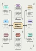 Organisation du syst&egrave;me nerveux