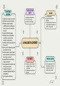 Le syst&egrave;me nerveux