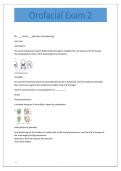 Orofacial Anatomy II Exam 2 Review 2026&sol;2027 &vert; Study Guide