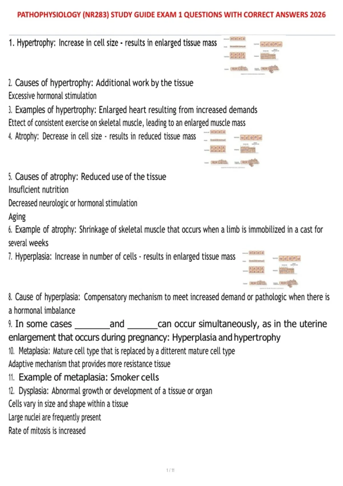 PATHOPHYSIOLOGY (NR283) STUDY GUIDE EXAM 1 QUESTIONS WITH CORRECT ...