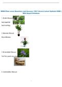 BOMI Plant exam Questions and Answers &lpar;100 &percnt;Score&rpar; Latest Updated 2026 &vert;  With Expert Solutions