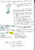 Class notes for botany 