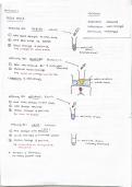 GCSE All &lpar;triple&rpar; Science - complete revision notes