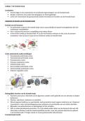College 7 Neuropsychologie&colon; De frontale kwab