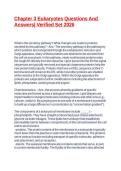 Chapter 3 Eukaryotes Questions And Answers&vert; Verified Set 2026