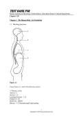 Test Bank For Human Anatomy & Physiology&comma; Global Edition&comma; 12th Edition by Elaine N&period; Marieb Katja Hoehn Chapter 1-29