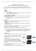 Samenvatting deeltentamen 1 - Cognitive Neuroscience