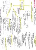 MAC 3761 summary