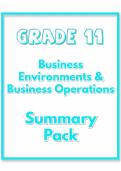 Grade 11 Business Studies Summary &lpar;Business Environments & Operations&rpar;